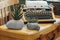 Havortia succulent in pot made of natural sea stone. unpretentious house plants. diy pot with your own hands. simple ideas for
