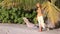 Hawaii dancer standing behind palm leaves