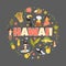 Hawaii emblem, print with symbols, landmarks icons