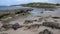 Hawaii - Hawaiian monk seals