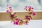 Hawaii luau icon travel concept: Fresh lei flowers necklace, Kauai hawaiian island tropical vacation background