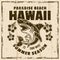 Hawaii paradise beach vector vintage emblem, label, badge or logo with shark. Illustration on background with grunge