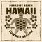 Hawaii paradise beach vector vintage emblem, label, badge or logo with turtle top view. Illustration on background with