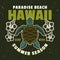 Hawaii paradise beach vector vintage emblem, label, badge or logo with turtle top view. Illustration in colorful style
