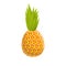 Hawaii pineapple icon, cartoon style