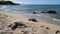 Hawaii Sea Turtles. Hawaiian sea turtle coming out of water walking onto beach