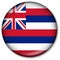 Hawaii State Flag Button