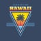 Hawaii summertime - vector illustration concept in vintage retro graphic style for t-shirt and other print production. Palms, sun