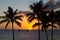 Hawaii Sunset with palm tree silhouette