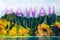 HAWAII title written over famous hiking or cruise tourist destination Na Pali Coast mountains in Kauai island, Hawaii