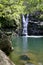 Hawaii Waterfall #1