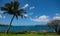 Hawaiian beach background. Enjoying paradise in Hawaii. Panorama tropical landscape of summer scenery with palm trees