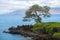 Hawaiian beach background. Enjoying paradise in Hawaii. Panorama tropical landscape of summer scenery with palm trees