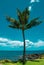 Hawaiian beach background. Enjoying paradise in Hawaii. Panorama tropical landscape of summer scenery with palm trees