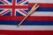 Hawaiian flag with a torch from a large event on it. Sports