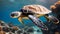 Hawaiian Green Sea Turtle