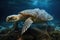 Hawaiian Green Sea Turtle Chelonia mydas, Dead turtle in fishing nets, AI Generated