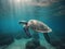 Hawaiian Green Sea Turtle (Chelonia mydas). Made with Generative AI