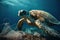 Hawaiian Green Sea Turtle (Chelonia mydas) swims in the blue ocean with plastic. Generative AI