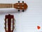 Hawaiian guitar and acoustic Guitar neck and strings. Musical instruments ideal for learning to play. Music and sheet music. Music