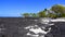 Hawaiian Lava Rock Beach, Big island