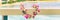 Hawaiian lei flowers necklace panoramic banner for polynesian or hawaiian culture tradition. Panorama background