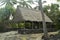 Hawaiian Native Village House