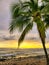 A Hawaiian Palm Tree Sunset