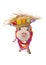 Hawaiian Pig Wearing Hat and Lei
