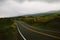 Hawaiian Road