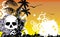 Hawaiian tropical beach skull frame background3