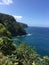 Hawaiian tropical coastline - the Road to Hana