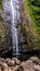 Hawaiian waterfall