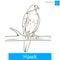 Hawk bird learn birds coloring book vector