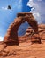 A Hawk at Delicate Arch, Arches National Park