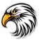 Hawk Eagle Head USA Logo Mascot Vector 04