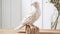 Hawk Look Bird Resin Sculpture For Natural Home Decor