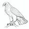 Hawk Outline Coloring Page For Children