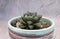 Haworthia cooperi - potted succulent plant. Close up of a small and beautiful succulent succulent plant