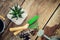 Haworthia succulent in flower pot, mini garden tools, watering can and bucket on wooden table. Top view. Flat lay.