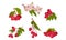 Hawthorn Berry Branches with Red Round Small Pome Fruits Vector Set