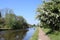 Hawthorn blossom, Leeds and Liverpool canal