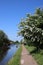 Hawthorn blossom, Leeds and Liverpool canal