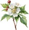 Hawthorn flower, Watercolor painting of a Hawthorn flower. AI-Generated.