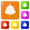 Hawthorn leaf icons set vector color