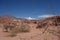 Hawthorn in orange desert - Quebrada de las conchas / shells ravine - cafayate, argentina