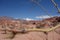 Hawthorn - Quebrada de las conchas / shells ravine - cafayate, argentina