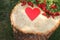 Hawthorne berries and a red paper heart lying on a tree stump