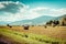 Hay bail harvesting