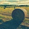 Hay bail harvesting in golden field landscape. Summer Farm Scenery with Haystack on the background of Beautiful Sunset.